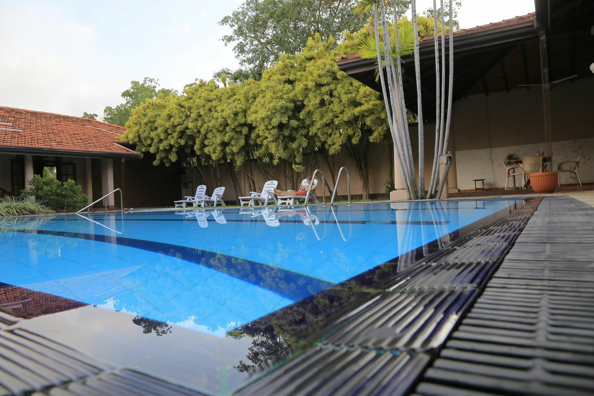 Tropical Villas Negombo Eksteriør billede