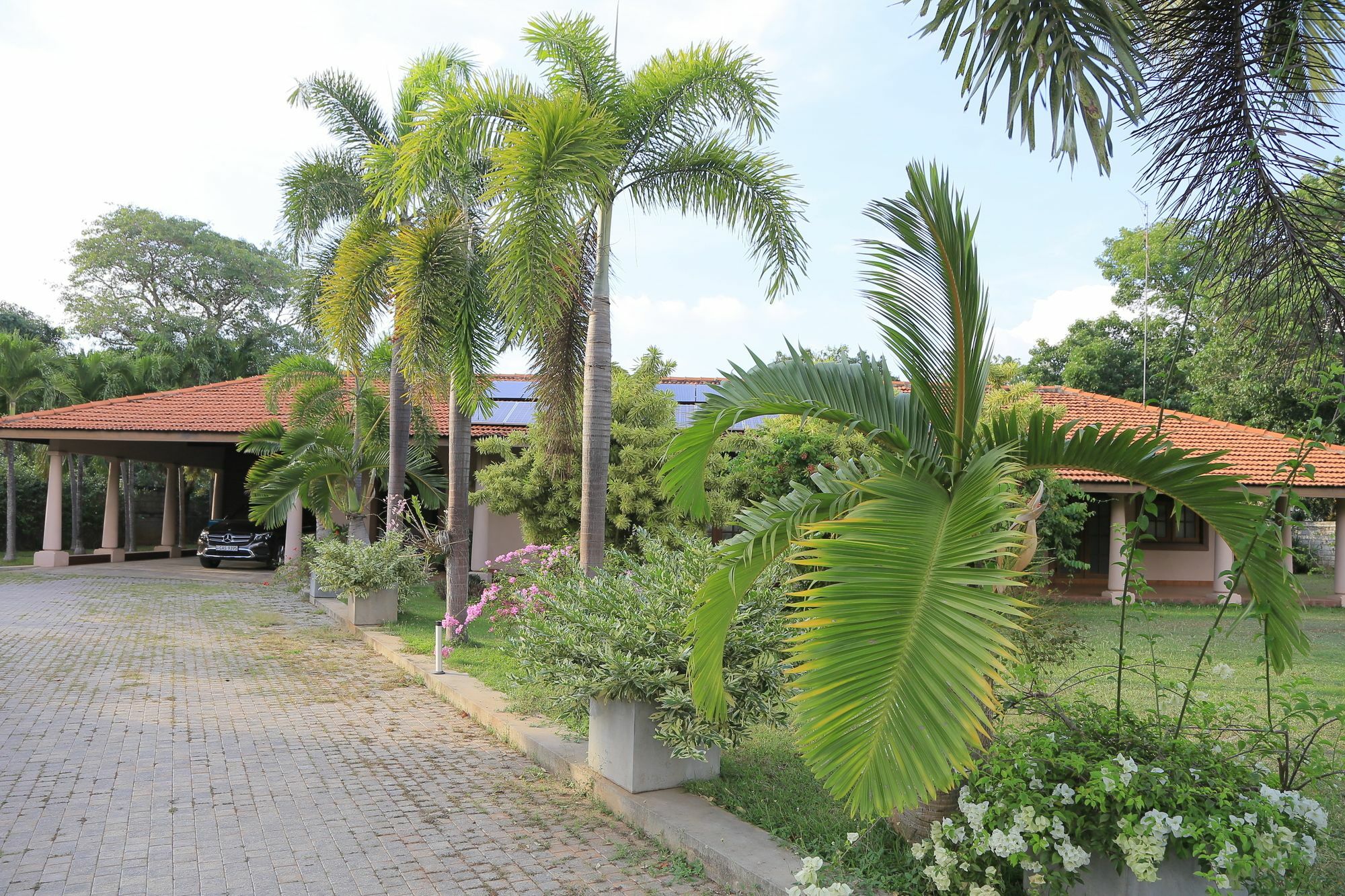 Tropical Villas Negombo Eksteriør billede